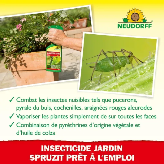 81vQZkwmbTL._AC_SL1500_