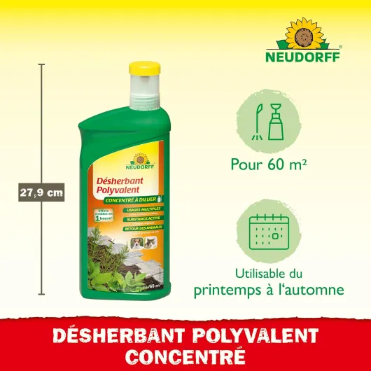 81MuZ62-PtL._AC_SL1500_