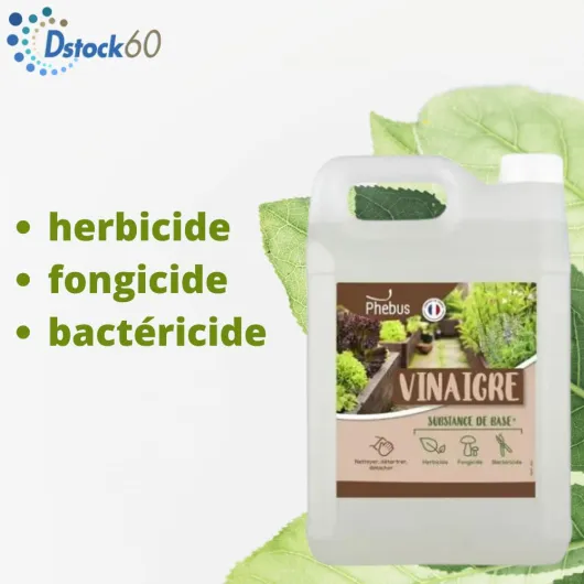 51isYS9LcAL._SL1000_