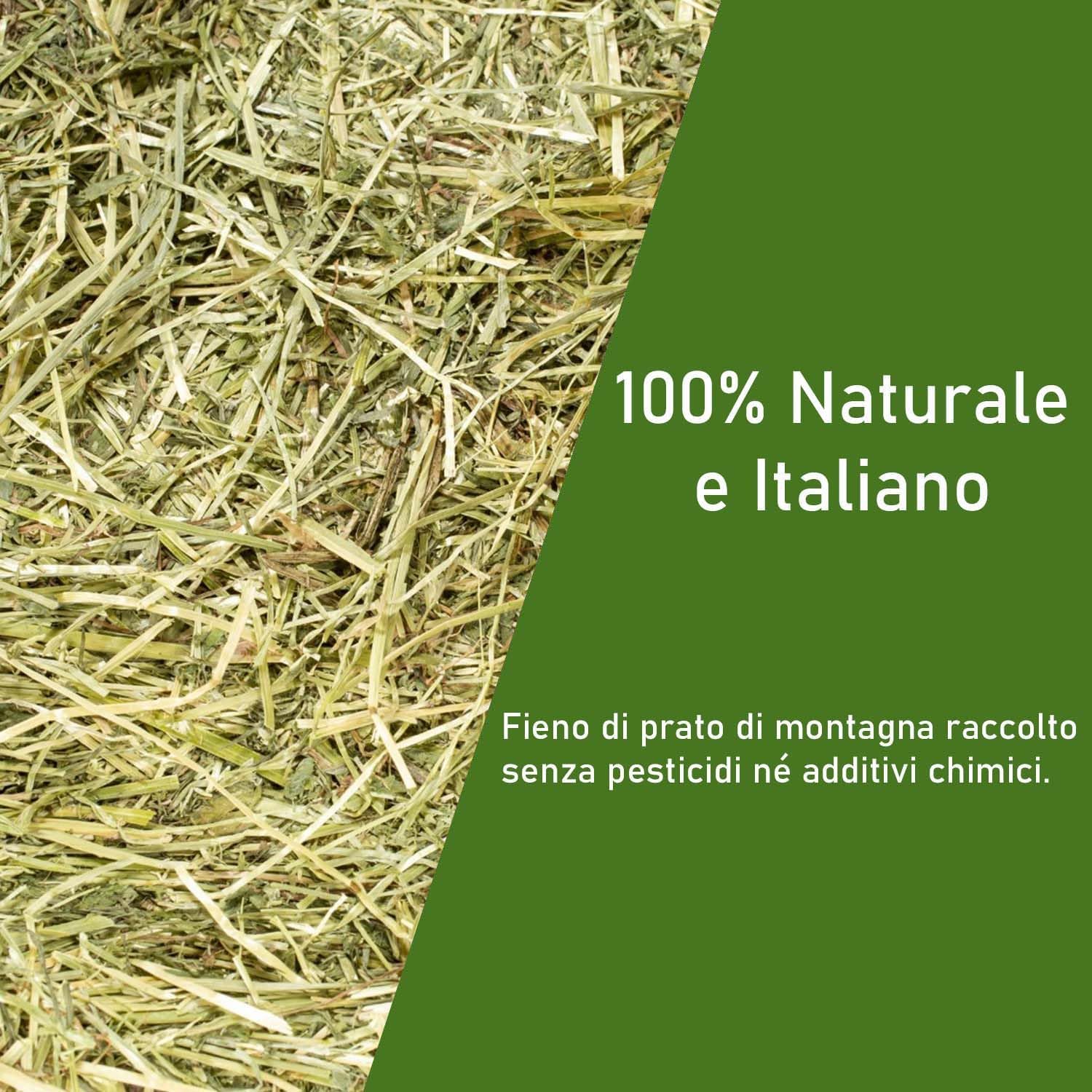 Foin naturel pour chevaux, ovins, chèvres et bétail 15 kg - Danse de foin italienne de prairie de montagne biologique - Nourriture pour tous les rongeurs, lapins et bétail - Haute Qualité 15