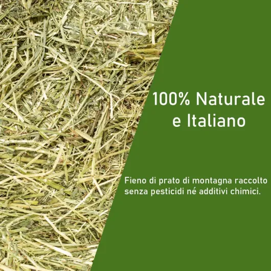 Foin naturel pour chevaux, ovins, chèvres et bétail 15 kg - Danse de foin italienne de prairie de montagne biologique - Nourriture pour tous les rongeurs, lapins et bétail - Haute Qualité 15
