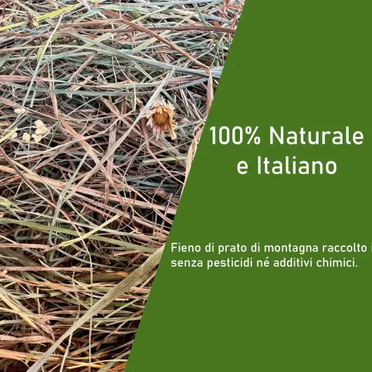 Foin naturel pour lapins 15 kg - Danse de foin italienne de prairie de montagne séchée au soleil - Nourriture pour cochons d'Inde, Chinchilla, lapins nains, chevaux, poulets et rongeurs