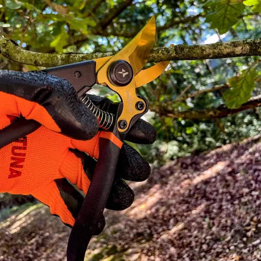 91zPMEScbIL._AC_SL1500_