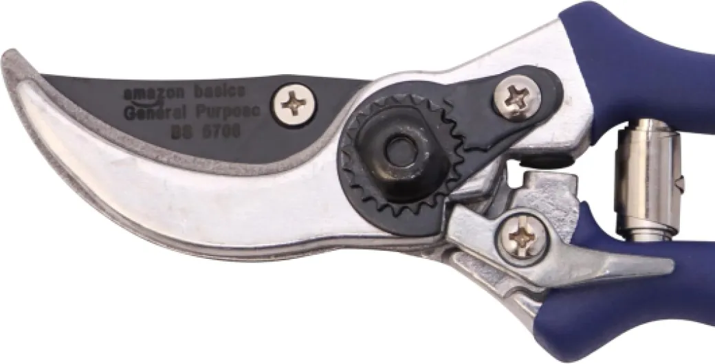 718F2kxPqqL._AC_SL1500_