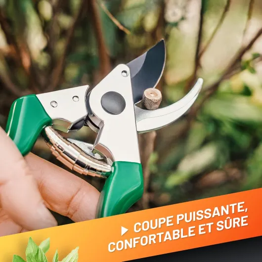 81Xoabgk5BL._AC_SL1500_