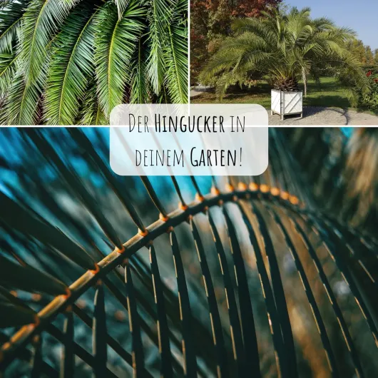 918fZy4IQSL._AC_SL1500_