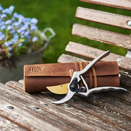 81jWwswUkDL._AC_SL1500_