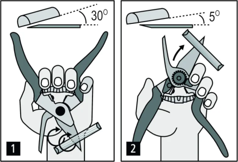 81JQTOnhcSL._AC_SL1500_