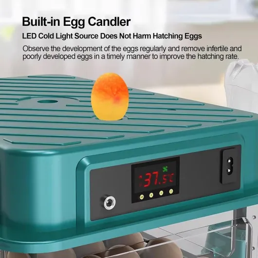 71EfkL3EwSL._SL1500_