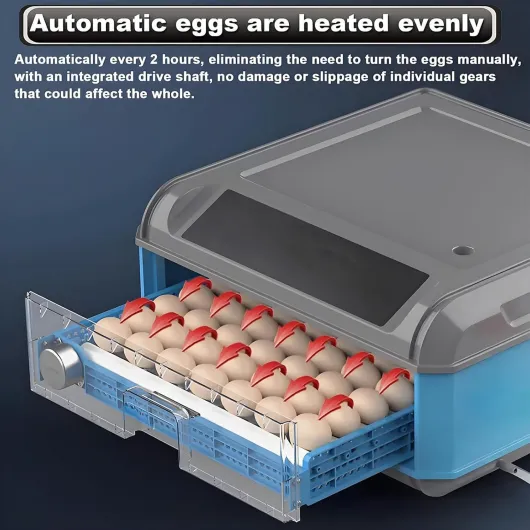 71eVQPiIciL._AC_SL1500_