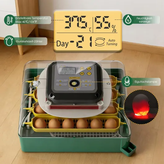 Couveuse Oeuf Automatique 24 œufs, Retournement des œufs et Contrôle de la Température, Taux d'éclosion élevé, Incubateur pour Poulets Canards Cailles