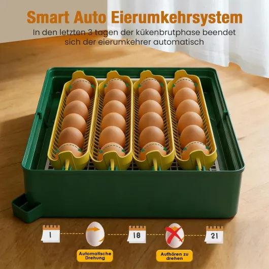 71WxU8HhW2L._SL1500_