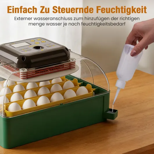 71ptj8mq7wL._SL1500_