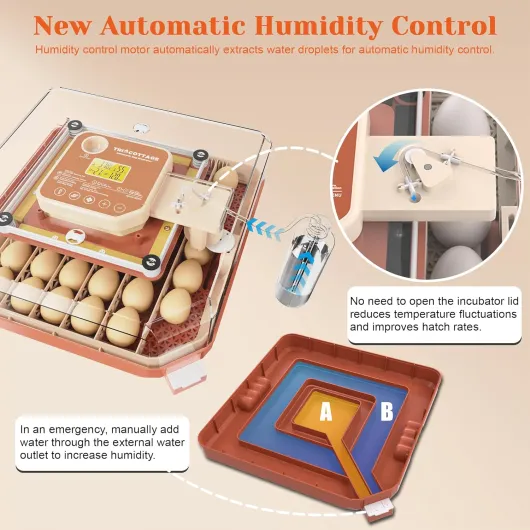 81KDXq0RtGL._SL1500_