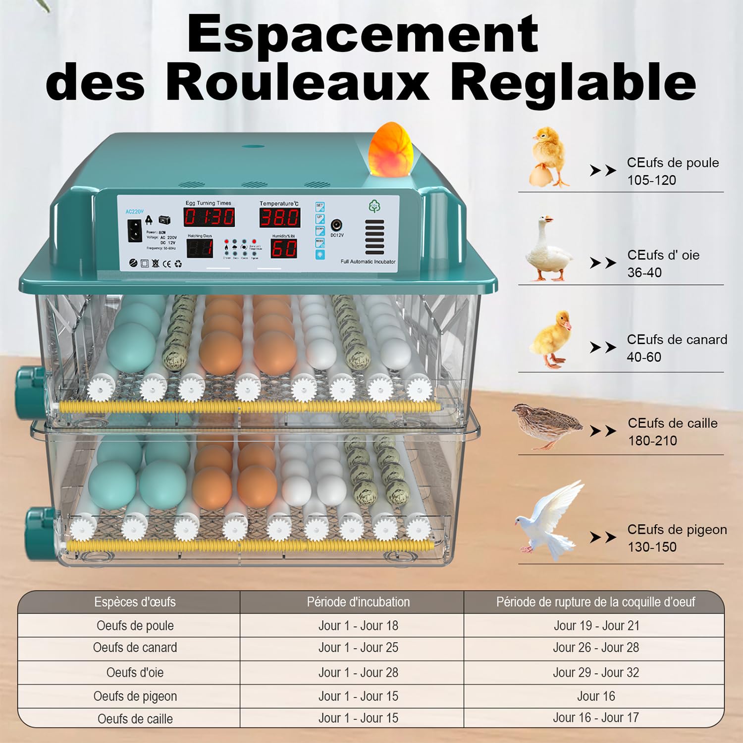 Incubateur Oeuf Automatique 120 Œufs, Couveuse Oeuf Automatique avec 4 Modes d’Incubation Automatique, Affichage Température & Humidité, Remplissage d’Eau Automatique, Couveuse pour Volaille & Poultry
