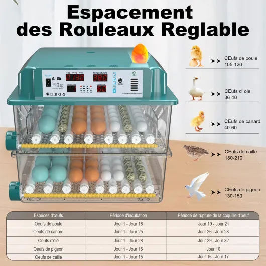 Incubateur Oeuf Automatique 120 Œufs, Couveuse Oeuf Automatique avec 4 Modes d’Incubation Automatique, Affichage Température & Humidité, Remplissage d’Eau Automatique, Couveuse pour Volaille & Poultry