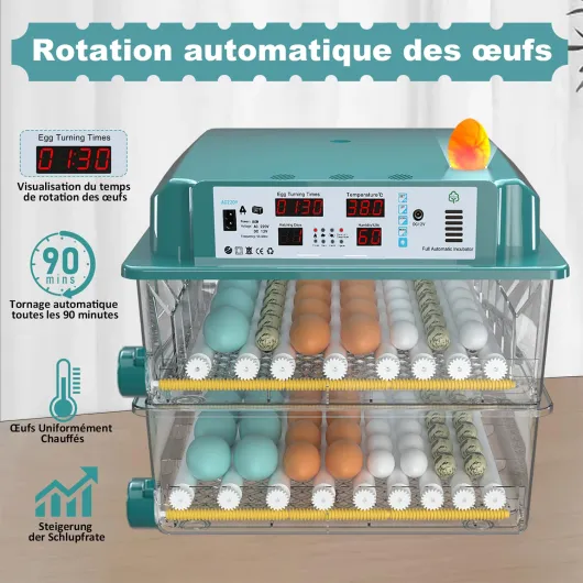 71 D6KYCWGL._SL1500_