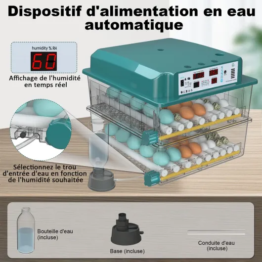 71i9rj3dc7L._SL1500_