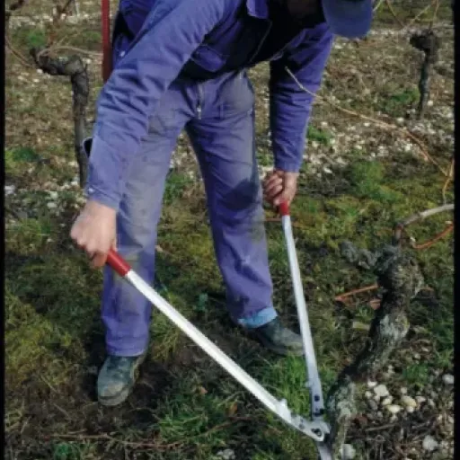 Test FELCO 22 : le coupe-branches qui ne plaisante pas avec le bois dur