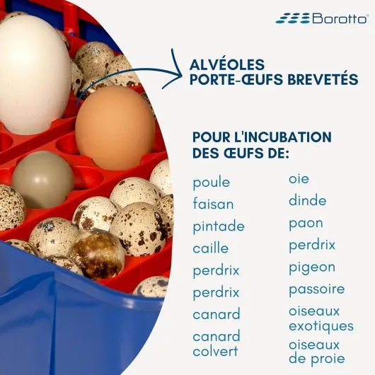 81LGjuGySJL._SL1500_