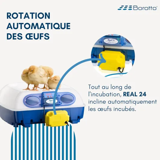 81iOCyhjkTL._SL1500_