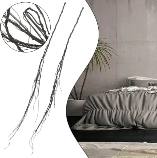 714ZWv3g kL._AC_SL1500_