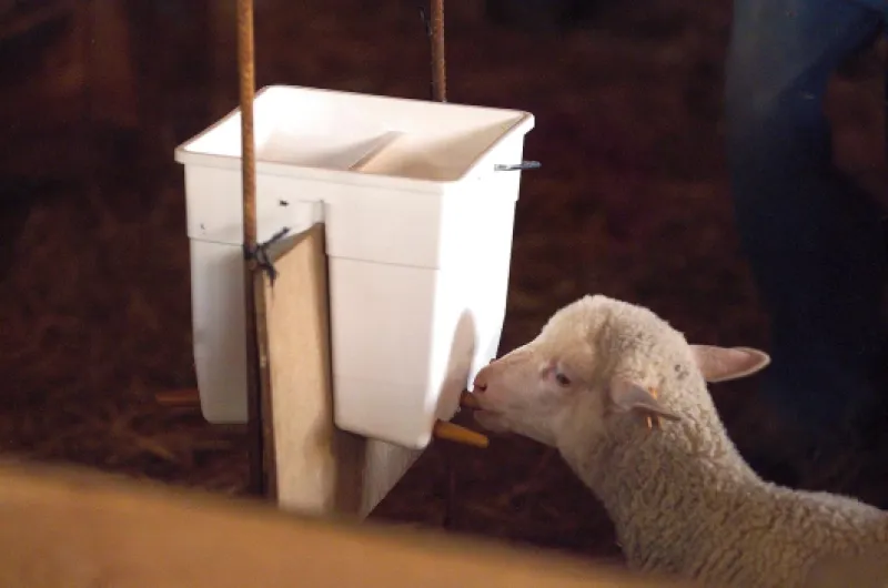 Multibiberon agneau 11L, 6 tétines complet TETIBLUE