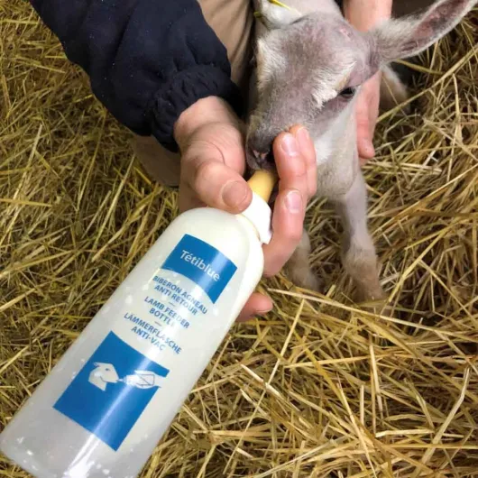 61XlzKIKigL._SL1000_