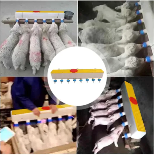 71N QyhjxjL._AC_SL1500_