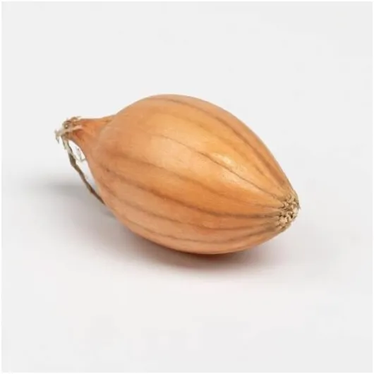 Sturon Bulbes d'Oignons a repiquer 500gr