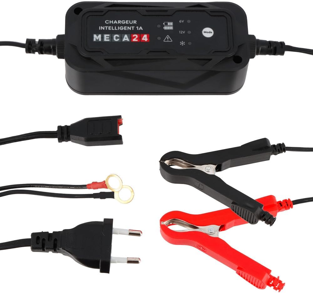 Chargeur de Batterie Moto - Quad - Tracteur - Tondeuse - Maintien de Charge 6V/12V - Cordon et Pince fourni - Automatique