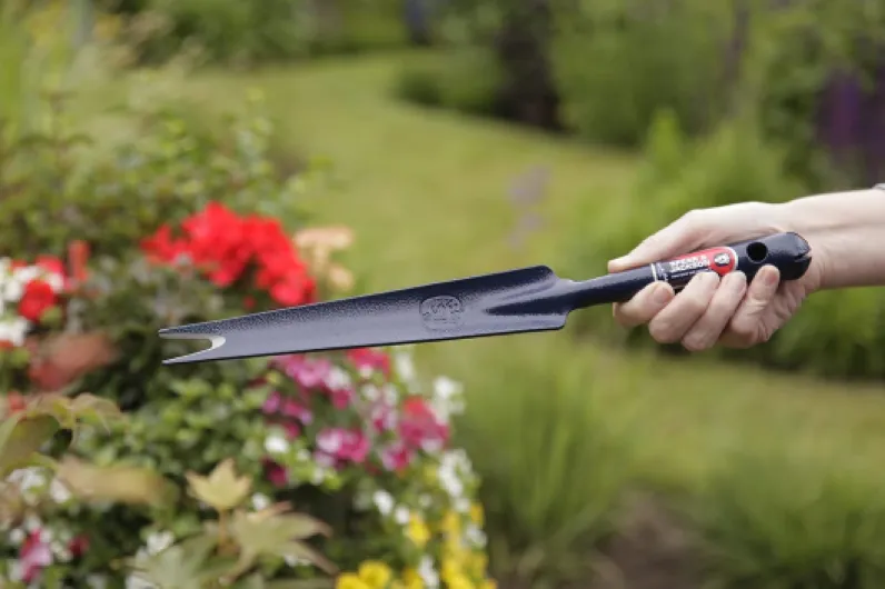 71YodlvApXS._AC_SL1500_