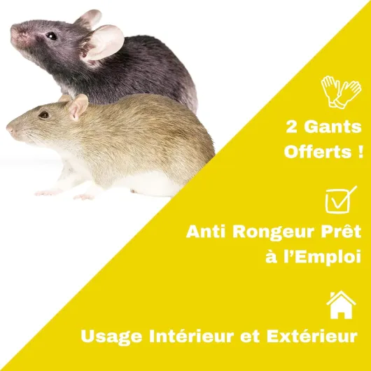 71ddv27PfsL._AC_SL1500_