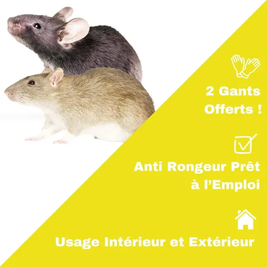 716AfXNhf-L._AC_SL1500_