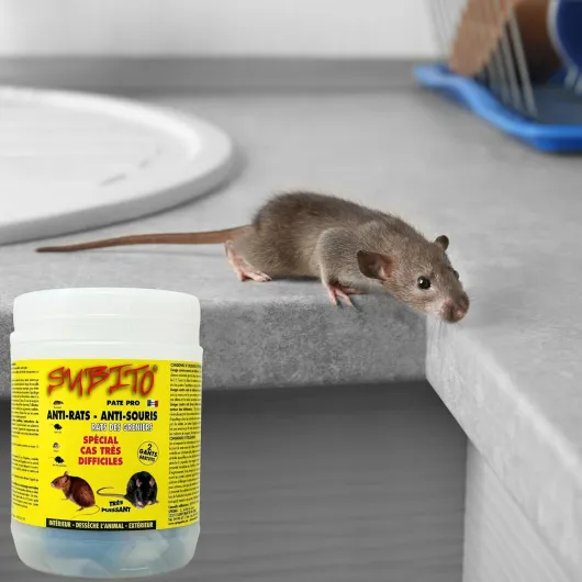 813GbAFWNfL._AC_SL1500_