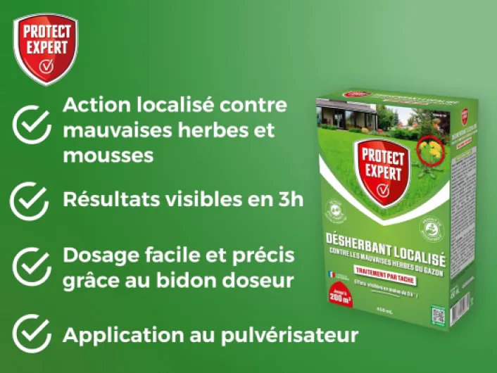 71sO3kwa-0L._AC_SL1500_