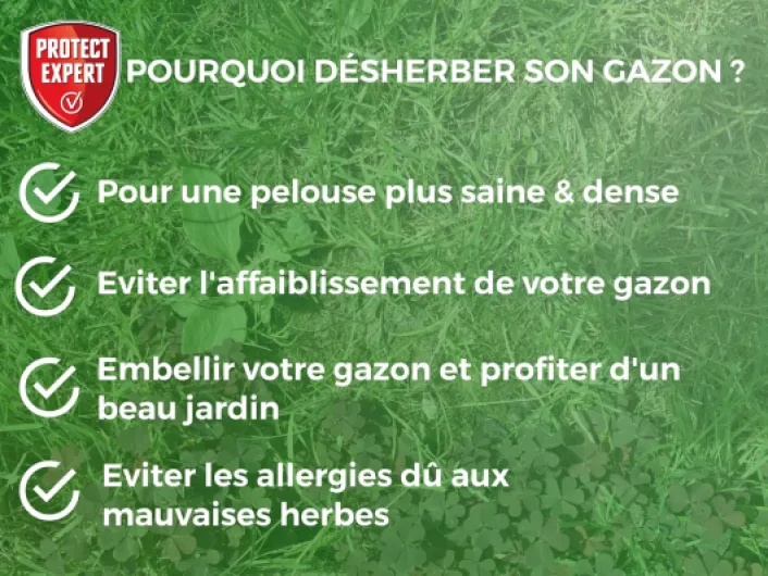 81aoEZVDMlL._AC_SL1500_