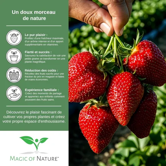 81yiKSXyNVL._AC_SL1500_