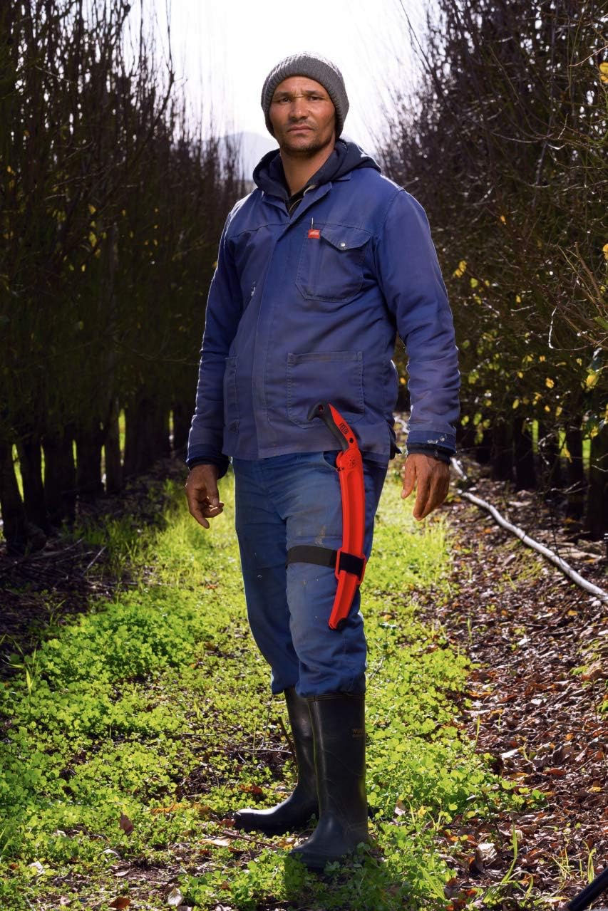 630 Scie d'élagage (scie courbe avec coupe tirante, longueur de la lame 33 cm, diamètre de coupe 120 mm, longueur 495 mm, scie à arbre incl - étui)