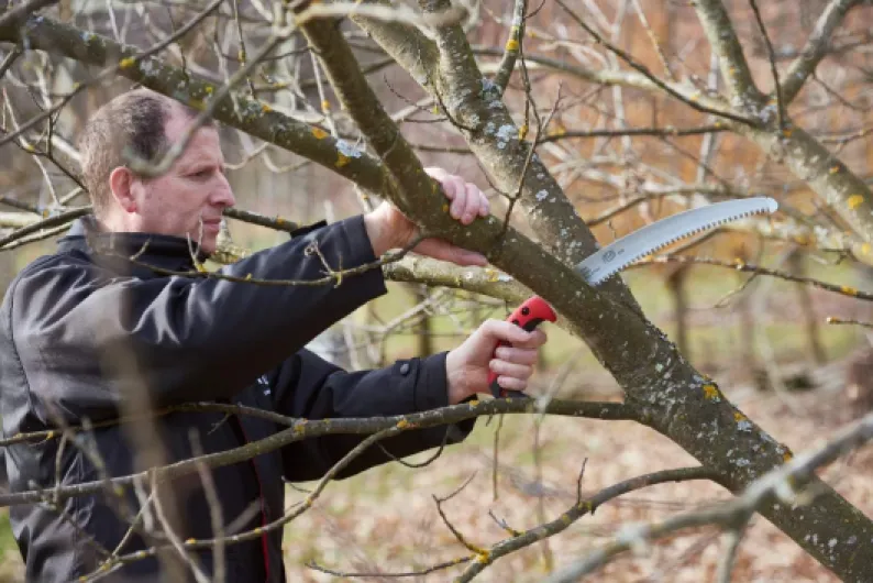 71CgxyOTL1L._AC_SL1279_