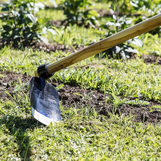 918ptyS8t8L._AC_SL1500_