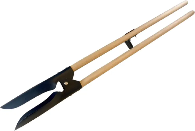 51B-7iZau8L._AC_SL1500_