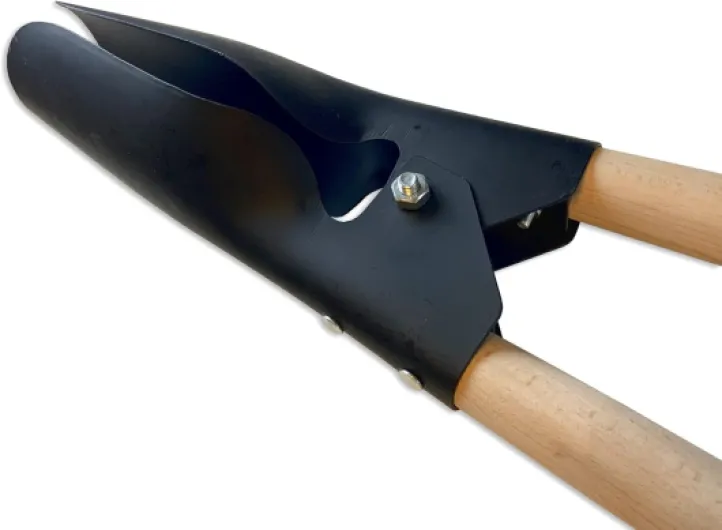 619RVZeWZcL._AC_SL1500_