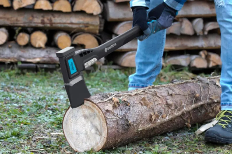 81nDHyF-a0L._AC_SL1500_