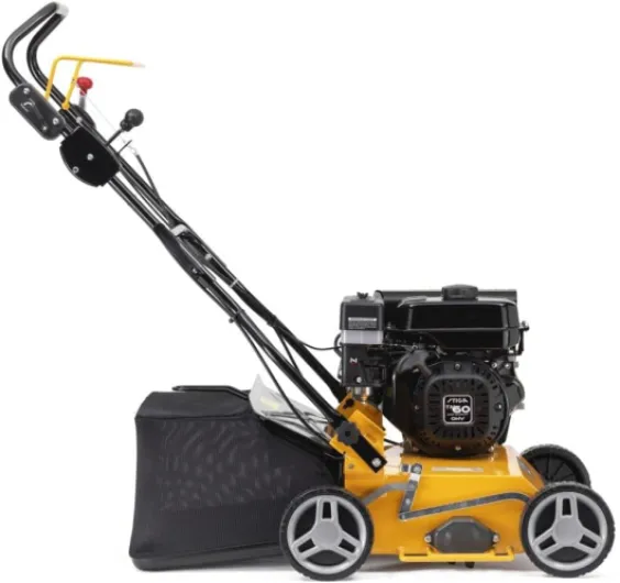 51IsTsw 1YL._AC_SL1000_