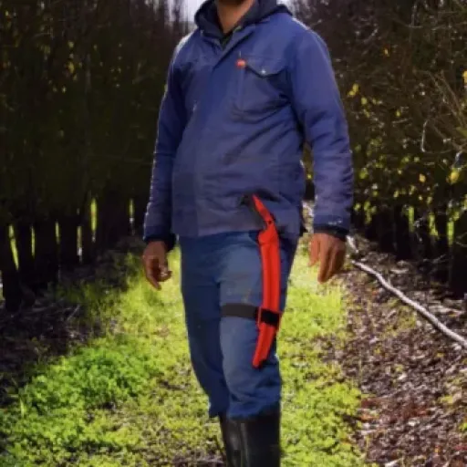 Test FELCO 630 : la scie d’élagage qui tranche sérieux sans se ruiner le bras