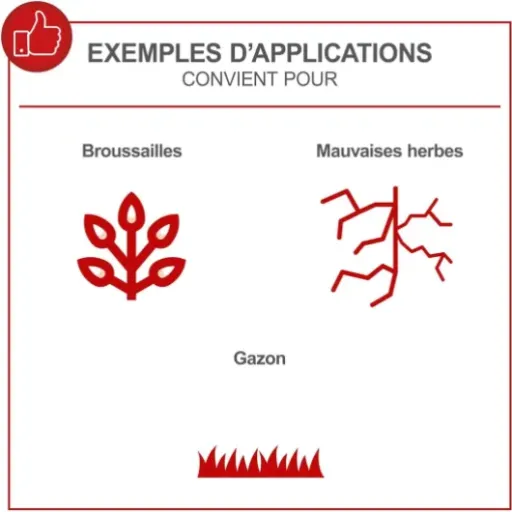 Test Scheppach PBC520 : la débroussailleuse thermique qui fait le boulot sans trop de chichis