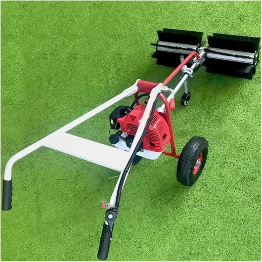 816bCcc6zqL._AC_SL1500_