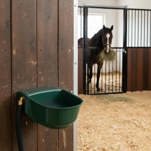 61uVTo2ry3L._AC_SL1024_