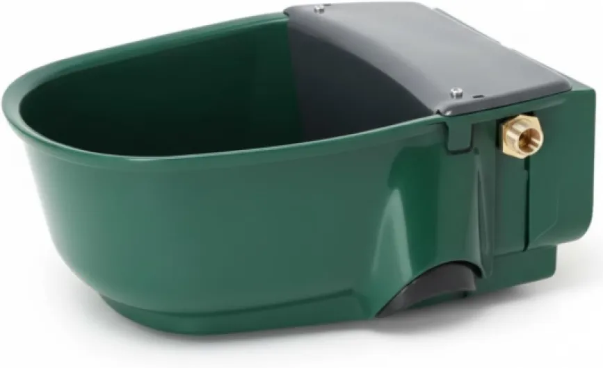 51ZpJ4k5gKL._AC_SL1500_